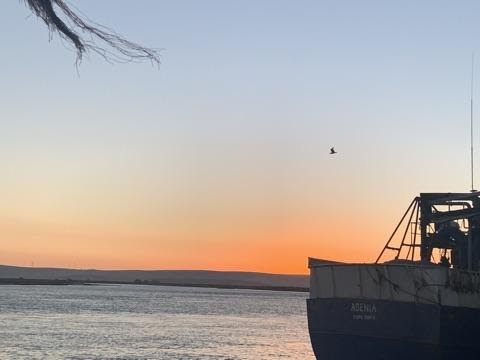 A frayed mooring rope flutters in a cornflower blue sky. It seems to follow the speck of a bird above a marigold sunset. In the foreground, the darkened stern of a trawler sits on the wrinkled grey ocean.